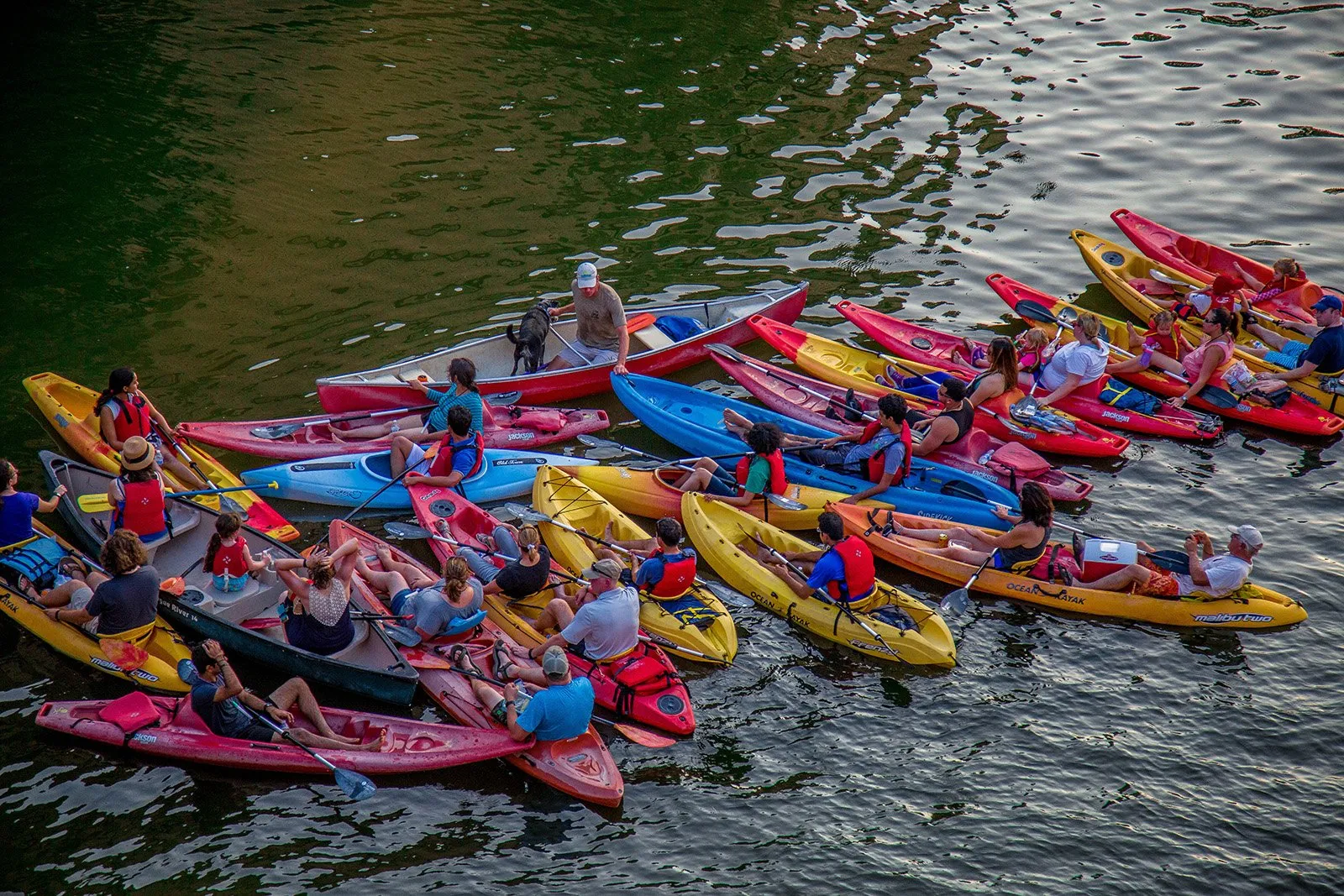 Live Love Paddle | Austin Kayak Rentals & Tours